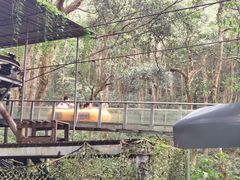 -富春桃源风景区