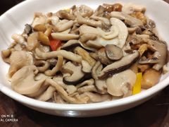 素烩菌菇-正兴蜀园(科技园区店)