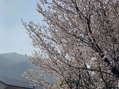 -明月山风景名胜区