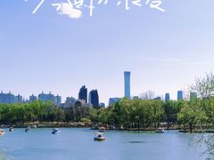 -朝阳公园