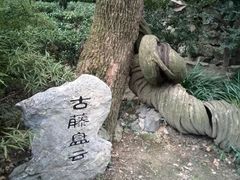 -绮园景区