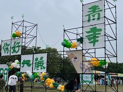 -溱湖国家湿地公园