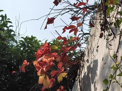 -中国湿地博物馆