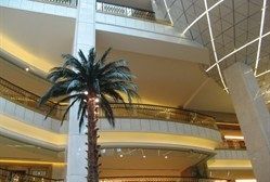 -上海大酒店(南京东路店)