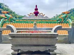 -南海湾森林生态园