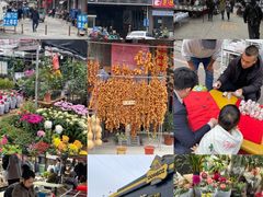 -中环花鸟鱼虫市场
