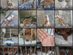 -喜多萌中农锦绣动物医院24H·猫科·牙科MRI·CT