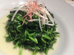 火丝银芽豆苗-江南雅厨(李公堤店)