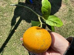 -从前慢海鲜面馆