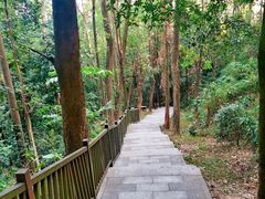 -火炉山森林公园