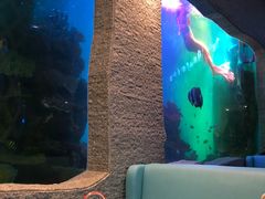 -瑞德姆美人鱼海底演艺主题餐厅(亚龙湾店)