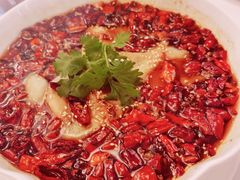 沸腾鱼片-火璽·園