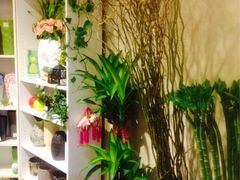 iphone_upload_pic-杭州街角花屋花店(闻堰店)