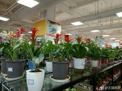 -碧乐城(无锡梁溪店)