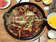 -老板恋上鱼(恒隆广场店)