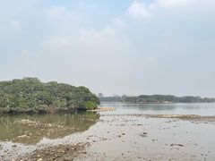 -海珠湖公园