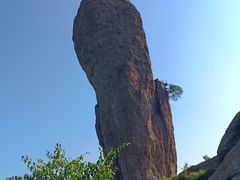 -磬锤峰森林公园