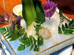 -Mr.Fish鱼鲜生海鲜放题(高德置地冬广场店)