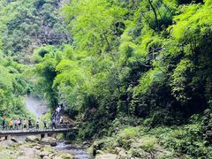 -三峡人家风景区