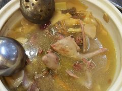-鸽鸟轩(石岐店)