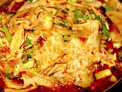 -马记清真肺片(玉林中横巷)