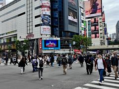-涩谷全向十字路口