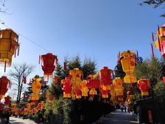 -红螺寺