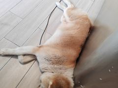 -YCHL Studios健身工作室(市二宫店)