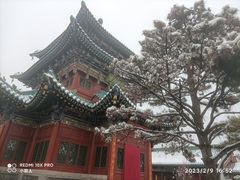 -迎泽公园