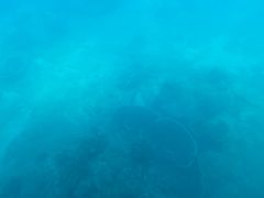 -亚龙湾海底世界