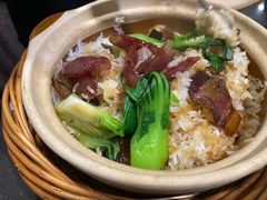 -熠盛粤味·顺德桑拿鸡(永康路店)