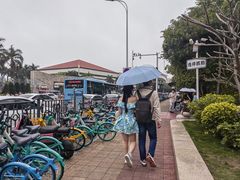 -朱记手撕鸡(八市店)