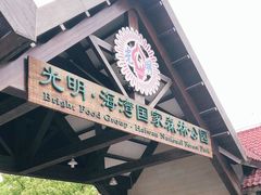-上海海湾国家森林公园