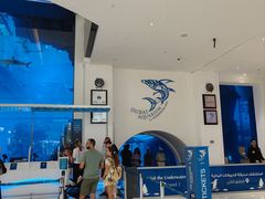-迪拜水族馆及水下动物园