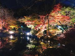 -醍醐寺