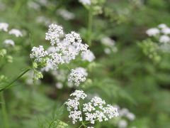 -南山风景名胜区