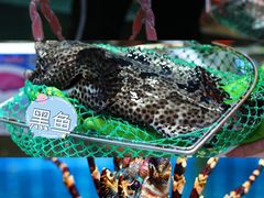 -海棠湾