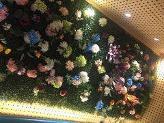 -青瓷火锅料理(西单大悦城店)