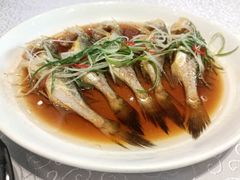 梅子鱼-启东海鲜人家(古美路店)