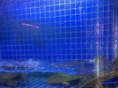 -喜粤广东菜(汉屯路店)