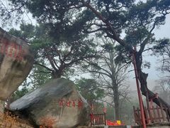 -崂山仰口游览区