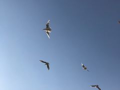 -呈贡滇池生态湿地公园