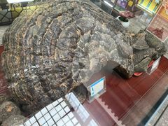 -杭州胡庆余堂第二中医门诊部