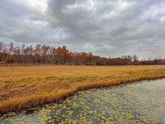 -塞罕坝国家级自然保护区