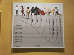-柳州白莲洞洞穴科学博物馆