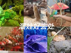 -天津zoonly动物主题公园