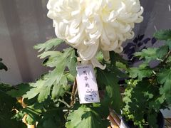 -共青国家森林公园-游客服务中心