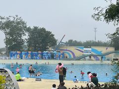 -秦皇岛乐岛海洋王国