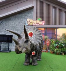 -恐龙探索乐园(磁器口店)