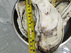 -蚝专家(北滘店)